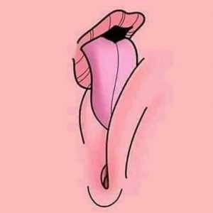 کی دوس داره اینجوری بره توش