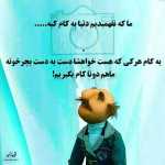 kaveh017