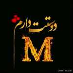 Bady26342634
