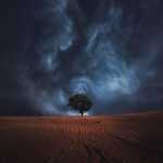 Meysam_1362