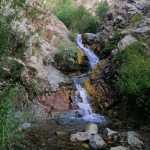 Mirali25