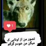 Mrehsan25