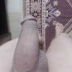 amiralavi91