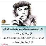 shahreeshgh
