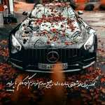 Amir2311