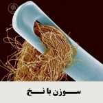 Ahmady0066