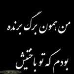 Mehran00855