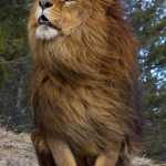 Majid1371