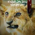 Aliiiii7887