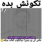 rohallahmohamqdi