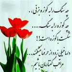 farzad4510