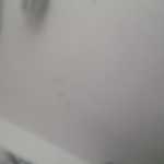 Shay