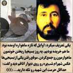 amirali1376