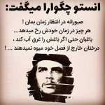 shahin711