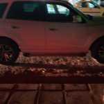 siavash22