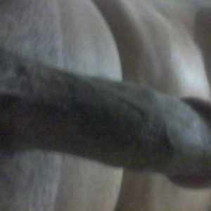 Post 33567