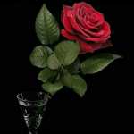 Shabnam77