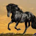 fathi99667