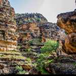 Arsam11