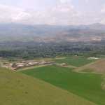 Alimi