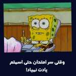 Saeid223354