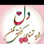 Siavash12