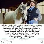 Alipppp