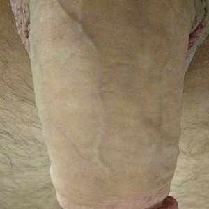 Post 35741
