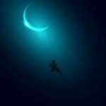 Jkjvftuhvcdg
