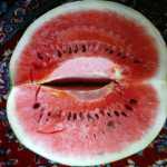 mammad9