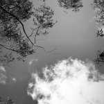 ALIWANTED