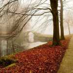 monamona