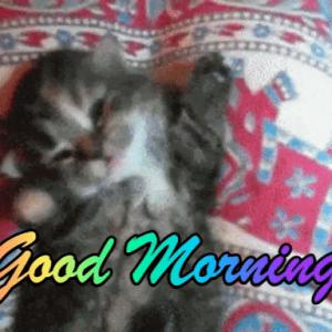 Post 45777