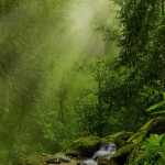 farhadn67