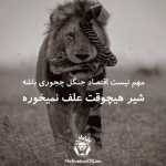 shamin