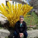 Farhad1347