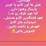 sayyad