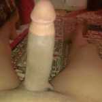 Arashkia