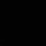 Mmdrza19121376