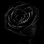 Yousef05