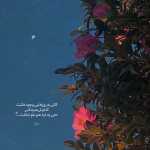 Amirsam7788000