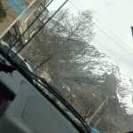 arz77