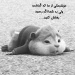 61__omidi