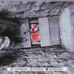 rasoul28