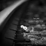 565zcassxdsadAD