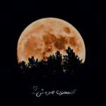 saleh8130