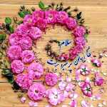 hamed65