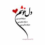 Alihot65