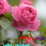 Matal