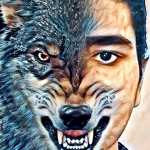 omidwolf